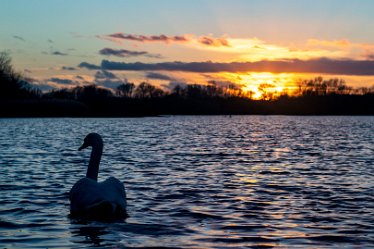 BT_IMG_1891_1 Branston Water Park Q1: © 2022 by Brian Triptree