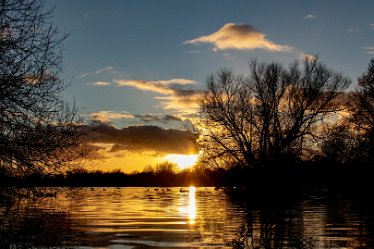 BT_BranstonWaterPark1_2859 Branston Water Park: © 2020-2021 by Brian Triptree