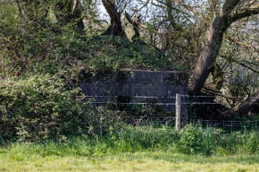 Brian_T_IMG_9562 Seen at Branston Leas Nature Reserve: © 2019-2021 by Brian Triptree