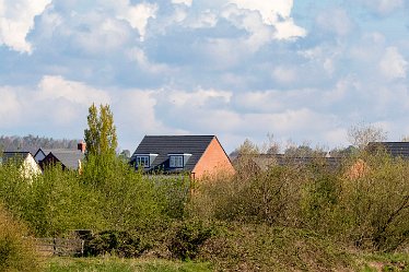 Brian_T_IMG_9583 Seen at Branston Leas Nature Reserve: © 2019-2021 by Brian Triptree