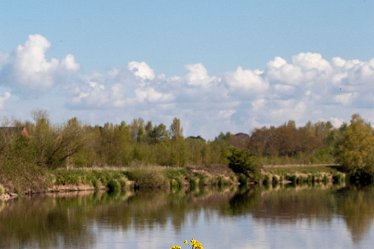 Brian_T_IMG_9586 Seen at Branston Leas Nature Reserve: © 2019-2021 by Brian Triptree