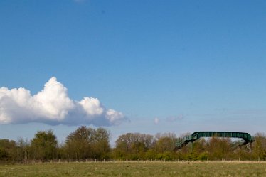 Brian_T_IMG_9589 Seen at Branston Leas Nature Reserve: © 2019-2021 by Brian Triptree