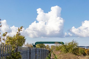 Brian_T_IMG_9619 Seen at Branston Leas Nature Reserve: © 2019-2021 by Brian Triptree