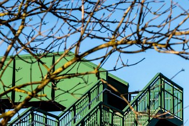 Brian-BL-to-202105_3116 © 2020-2021 by Brian Triptree: Views at Branston Leas Nature Reserve