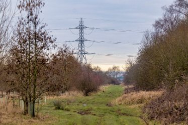 Brian-BL-to-202105_3142 © 2020-2021 by Brian Triptree: Views at Branston Leas Nature Reserve