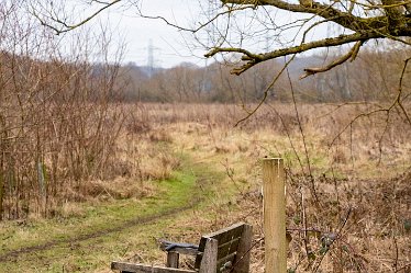 Brian-BL-to-202105_3162 © 2020-2021 by Brian Triptree: Views at Branston Leas Nature Reserve