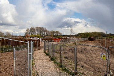 Brian-BL-to-202105_5525 © 2020-2021 by Brian Triptree: Views at Branston Leas Nature Reserve