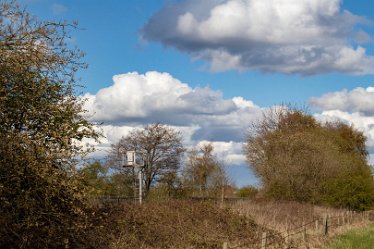 Brian-BL-to-202105_5556 © 2020-2021 by Brian Triptree: Views at Branston Leas Nature Reserve