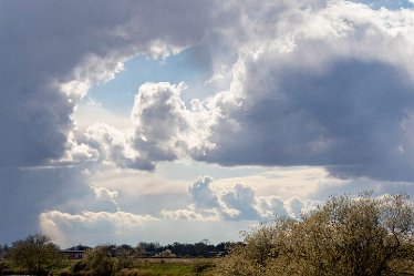 Brian-BL-to-202105_5667 © 2020-2021 by Brian Triptree: Views at Branston Leas Nature Reserve