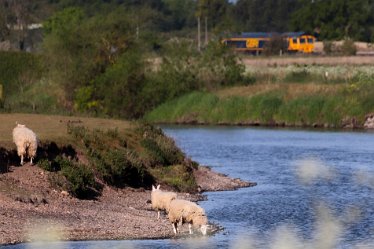 Brian-BL-to-202105_0371 Branston Leas Nature Reserve: © 2020-2021 by Brian Triptree