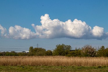 Brian Triptree Branston Lease Branston Leas Nature Reserve to 29th April 2021: © 2019-2021 by Brian Triptree