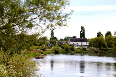 Brian's Views at BL Branston Leas Nature Reserve: Additional views : © 2020-2021 by Brian Triptree