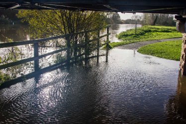 DC_aIMG_7802 21st November 2022: Burton Washlands: © 2022 by David Cowper