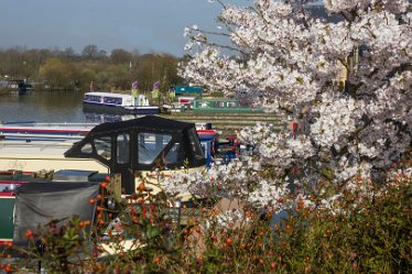 DC_aIMG_2296 25th March 2022: Willington: © 2022 by David Cowper