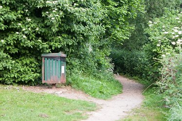 DC_aIMG_0400 12th June 2021: Brizlincote Nature Walk: © David Cowper 2021