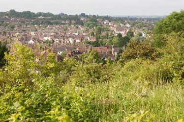 DC_aIMG_0455 12th June 2021: Brizlincote Nature Walk: © David Cowper 2021