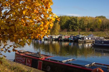 DC_aIMG_4398 22nd October 2020: Willington: © 2022 by David Cowper