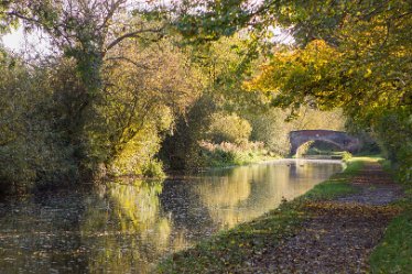 DC_aIMG_4408 22nd October 2020: Willington: © 2022 by David Cowper