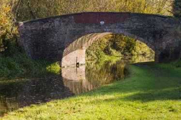 DC_aIMG_4409 22nd October 2020: Willington: © 2022 by David Cowper