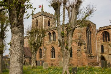 DC-aIMG_2287 April 2021: Wychnor Fradley Circular Walk: © David Cowper 2021