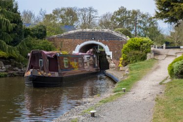 DC-aIMG_2325 April 2021: Wychnor Fradley Circular Walk: © David Cowper 2021