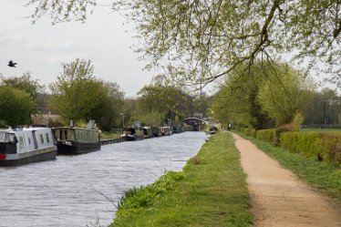 DC-aIMG_2378 April 2021: Wychnor Fradley Circular Walk: © David Cowper 2021