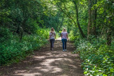 DC-aIMG_1242 1st July 2021: Jinny Nature Trail: © 2021 by David Cowper