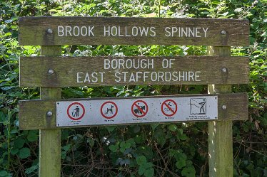 aIMG_0506 23rd June 2021: Brook Hollows: © 2021 by David Cowper