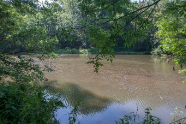 aIMG_0524 23rd June 2021: Brook Hollows: © 2021 by David Cowper