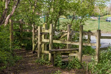 DC-aIMG_9907 4th May 2021: Beans Covert : © 2021 by David Cowper