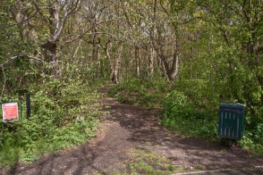 DC-aIMG_9932 4th May 2021: Beans Covert : © 2021 by David Cowper