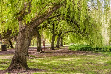 DC-aIMG_0208 7th May 2021: Burton-on-Trent Views: © 2021 by David Cowper