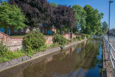 DC-aIMG_0467 23rd Jun 2021: Rolleston: © 2021 by David Cowper