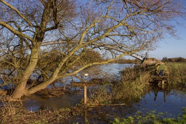 DC-aIMG_0919 2nd December 2021: Trent Valley Way (Newton Solney): © 2021 by David Cowper