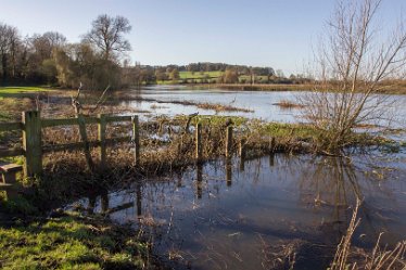 DC-aIMG_0966 2nd December 2021: Trent Valley Way (Newton Solney): © 2021 by David Cowper