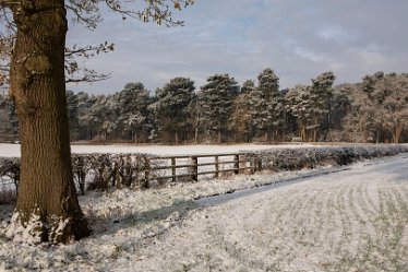 DC-aIMG_3738 29th November 2021: Trent Valley Way: © 2021 by David Cowper