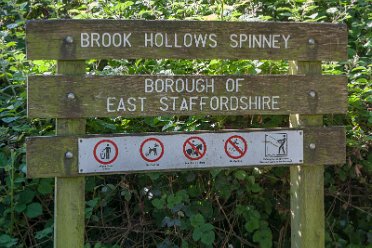 Dave Cowper Brook Hollows Brook Hollows: © 2021 by David Cowper