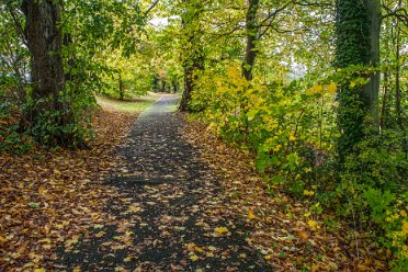 Burton Washlands by David Cowper Burton Washlands: © 2021 by David Cowper