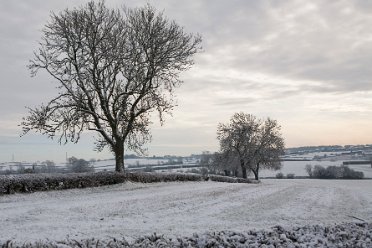 Trent Valley Way by David Cowper Trent Valley Way: © 2021 by David Cowper