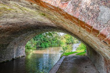 JR_Aug21_MJH6589-1j1 26th August 2021: © 2020-21 Jane Rowbottom: Hopwas: Canal Views