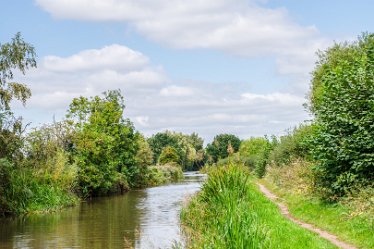 JR_Aug21_MJH6591-1j1 26th August 2021: © 2020-21 Jane Rowbottom: Hopwas: Canal Views