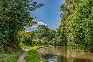 JR_Aug21_MJH6609-1j1 26th August 2021: © 2020-21 Jane Rowbottom: Hopwas: Canal Views