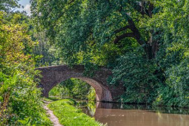 JR_Aug21_MJH6614-1j1 26th August 2021: © 2020-21 Jane Rowbottom: Hopwas: Canal Views