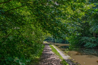 JR_Aug21_MJH6629-1j1 26th August 2021: © 2020-21 Jane Rowbottom: Hopwas: Canal Views