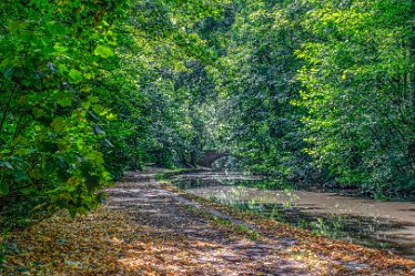 JR_Aug21_MJH6667-1j1 26th August 2021: © 2020-21 Jane Rowbottom: Hopwas: Canal Views