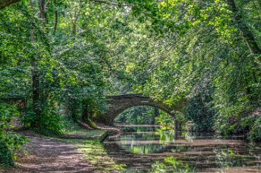 JR_Aug21_MJH6671-1j1 26th August 2021: © 2020-21 Jane Rowbottom: Hopwas: Canal Views