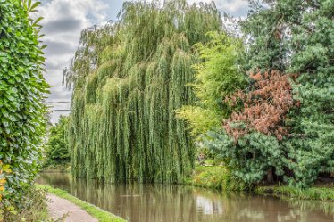 JR_Aug21_MJH6681-1j1 26th August 2021: © 2020-21 Jane Rowbottom: Hopwas: Canal Views