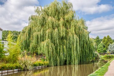 JR_Aug21_MJH6686-1j1 26th August 2021: © 2020-21 Jane Rowbottom: Hopwas: Canal Views