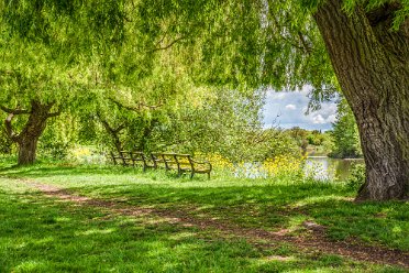 Jane at Branston Leas Branston Leas: © 2020-21 Jane Rowbottom