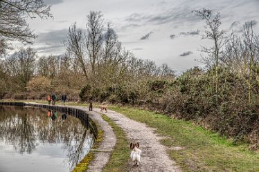 the stand off_AAA8760-1j1 28th February 2021: Mavesyn Ridware: © 2020-21 Jane Rowbottom: Canalside dog walkers
